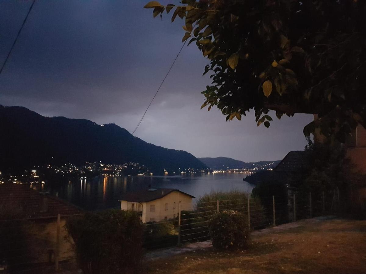 Flora Daire Moltrasio Dış mekan fotoğraf